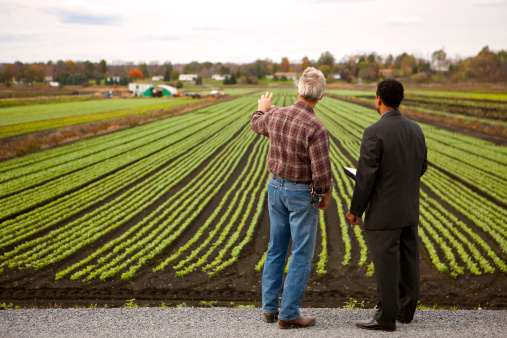 O novo papel da revenda como provedor de solução para o agricultor