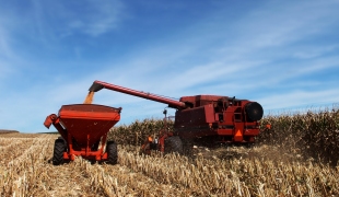 Impactos do Plano Agrícola e Pecuário 2013/2014 na Distribuição de Insumos Agrícolas no Brasil