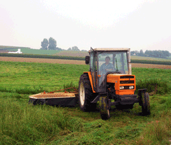 Seguro Rural no Agrodistribuidor: Ampliação de Portfólio e Redução de Risco 