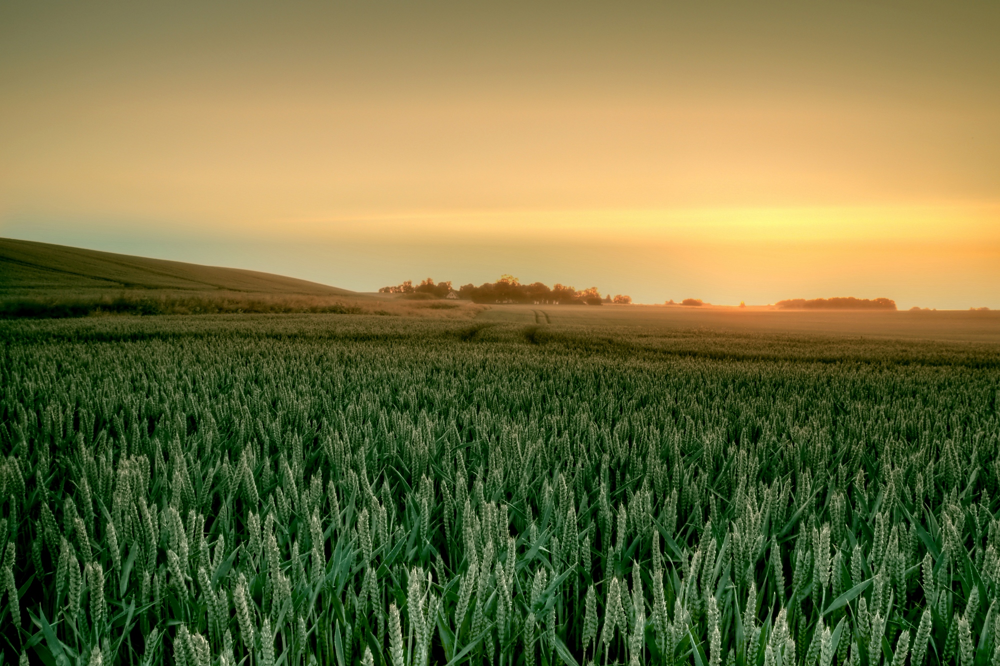 Perspectivas da Distribuição de Insumos Agrícolas no Brasil (Parte 1)