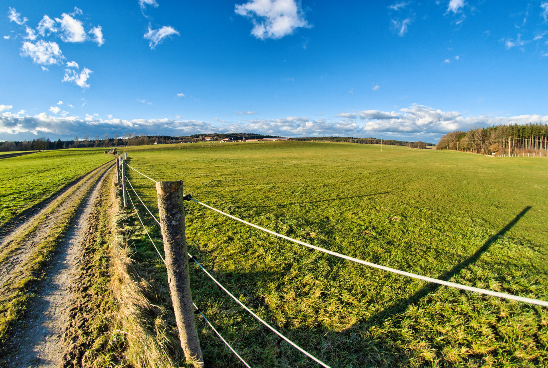 Perspectivas da Distribuição de Insumos Agrícolas no Brasil (Parte 2)