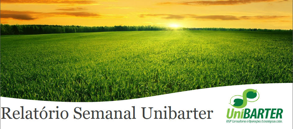 Relatório Semanal Unibarter