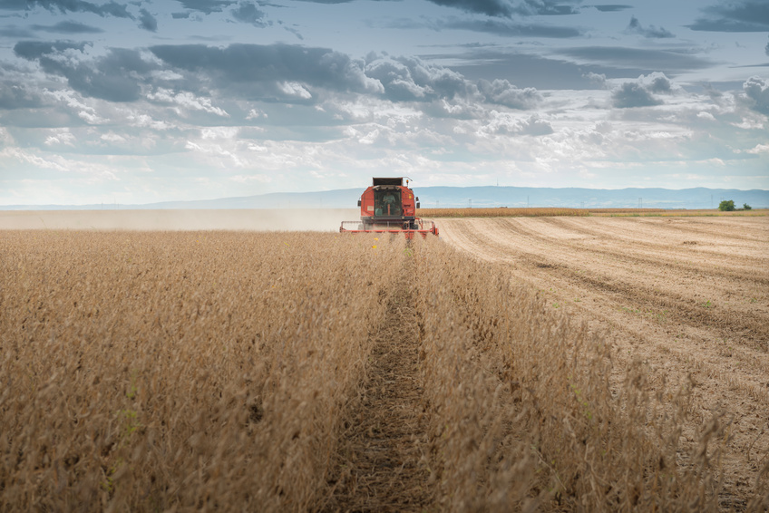 Mesmo piorando o agro salva a balança comercial de colapso total em 2014