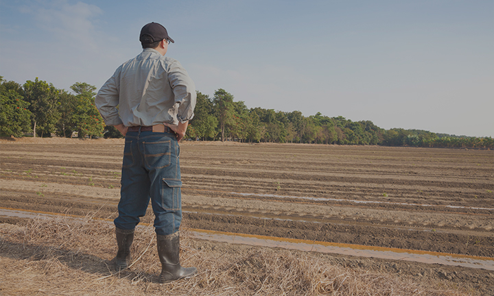 Novos tempos, Novo Agrodistribuidor - Parte 1: Se preparando para o Retomada