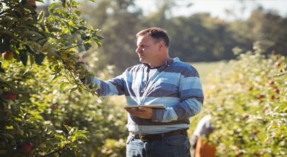 Perspectivas e Cenários para Digitalização de Negócios Agro (4)