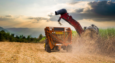O papel da Distribuição Agropecuária para atender as diferentes necessidades de  produtores em mais uma safra recorde de verão 2023/24