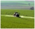 Motivos para investir na oferta de fertilizantes foliares