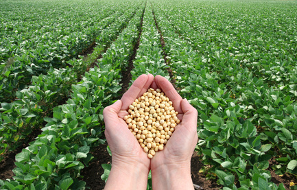 31º Levantamento do Índice de Confiança do Produtor Rural e de Soja ?? Julho, 2014