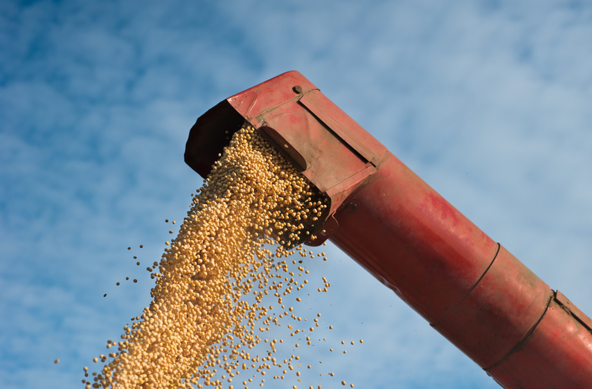 Perdas Pós Colheita: Entenda os Conceitos Econômicos que Sustentam a Tomada de Decisão do Produtor Rural - Parte 2