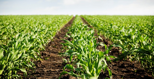 5º Forum Nacional de Agronegócios - Impressões e Opiniões