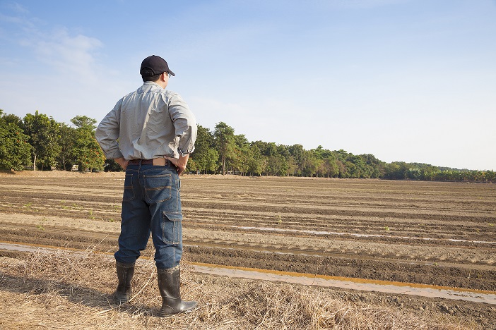 O Contexto das Decisões de Compra do Produtor Rural (I)