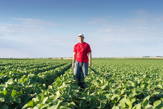 Competências Essenciais do Agrodistribuidor: por que investir em logística?