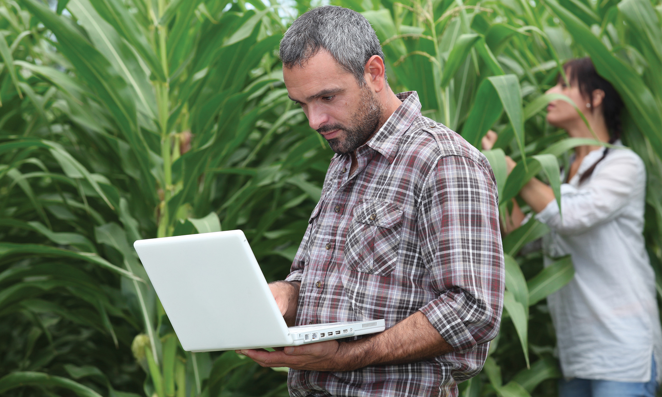 A Transformação Digital no Agro e as Oportunidades na Distribuição 2