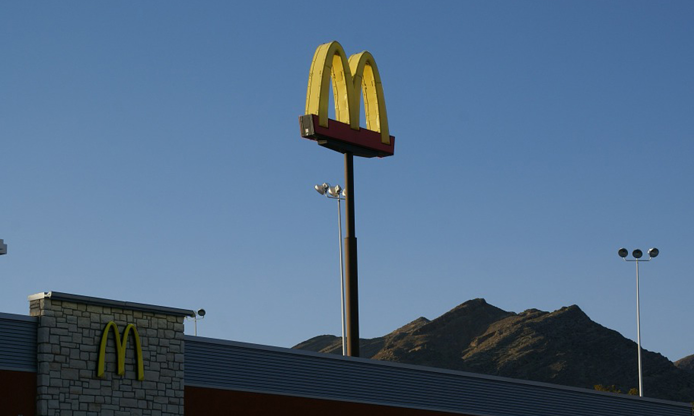 O que o Varejo Agropecuário pode aprender com o McDonalds?