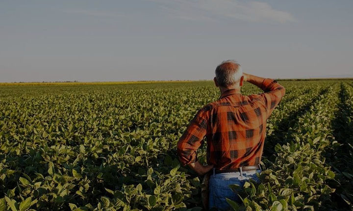 Novos tempos, Novo Agrodistribuidor - Parte 5: Revisão no Modelo de Atendimento ao Produtor